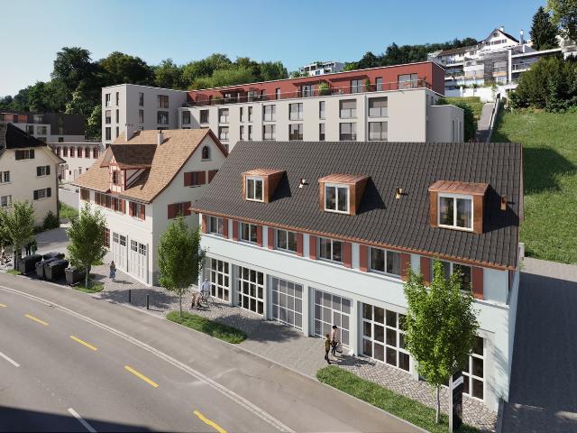Rent a 1 ½ rooms apartment in Wädenswil Flatfox