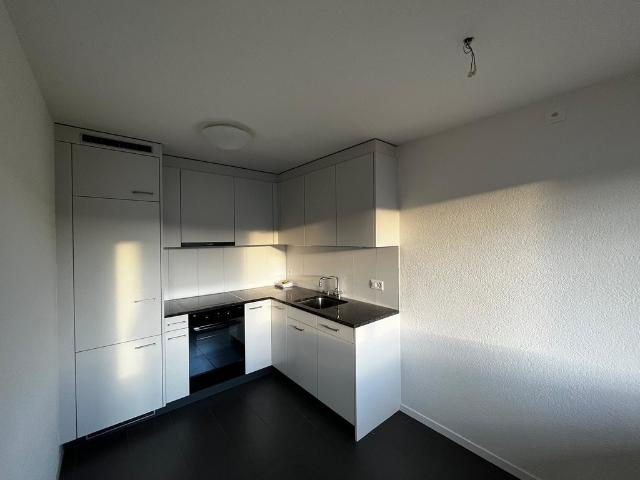 Rent a 1 ½ rooms apartment in Urdorf Flatfox