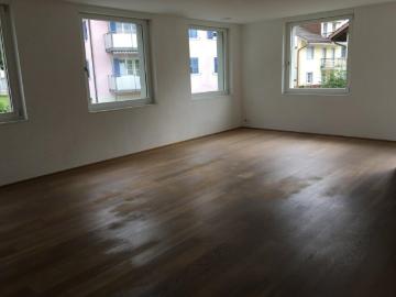 Rent a 1 ½ rooms apartment in Uster Flatfox