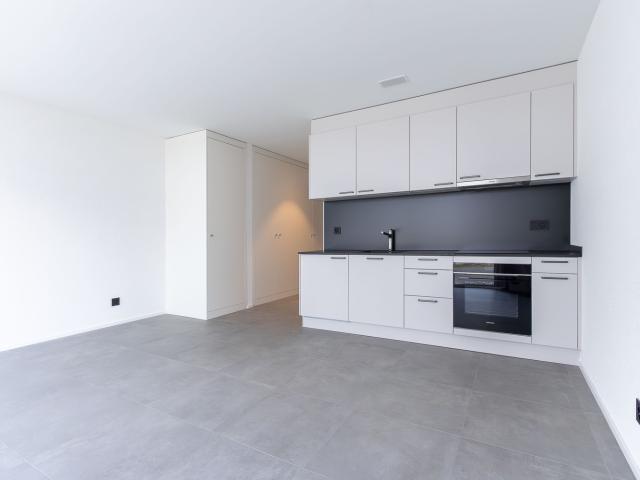 Rent a 1 ½ rooms apartment in Visp Flatfox