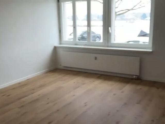 Rent a 1 ½ rooms apartment in Zihlschlacht Flatfox
