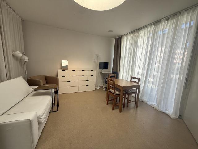 Rent a 1 ½ rooms apartment in Zürich Flatfox