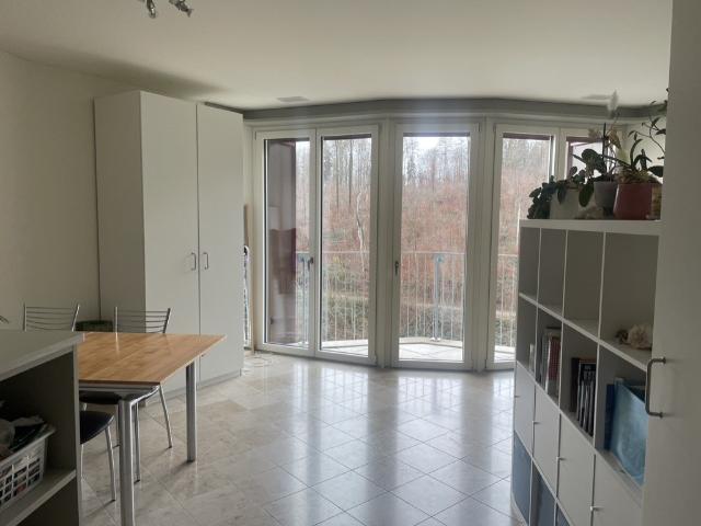 Rent a 1 ½ rooms apartment in Zürich Flatfox