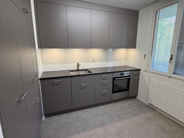 Rent a 1 ½ rooms apartment in Zürich Flatfox