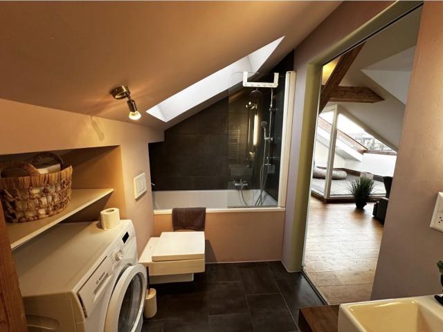 Rent a 1 ½ rooms apartment in Zürich Flatfox