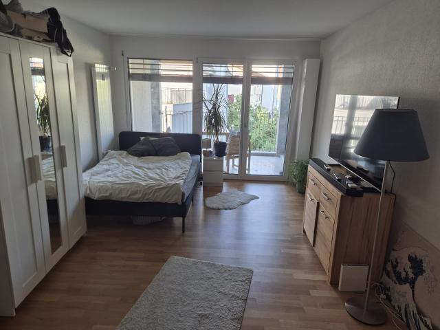 Rent a 1 ½ rooms apartment in Zürich Flatfox