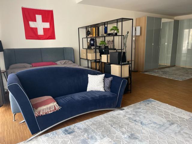 Rent a 1 ½ rooms apartment in Zurich Flatfox