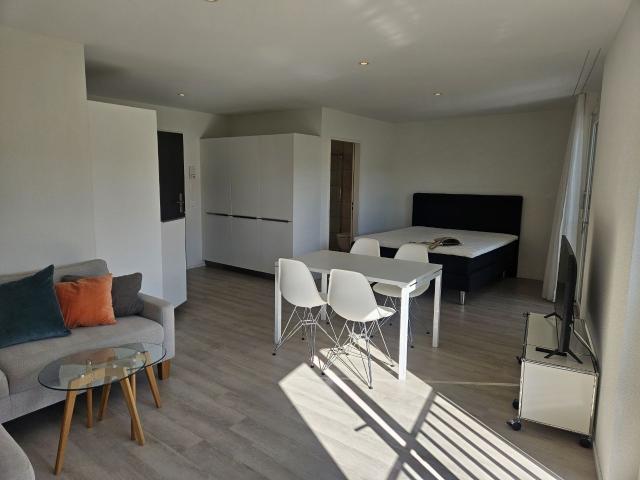 Rent a 1 ½ rooms apartment in Zürich Flatfox