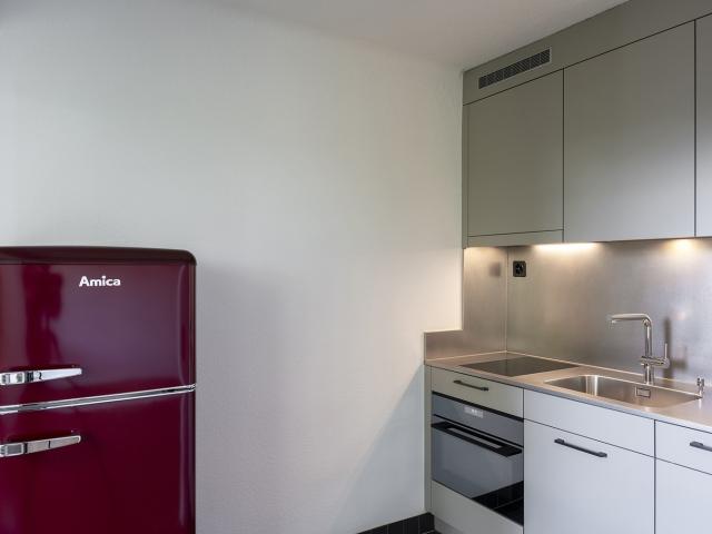 Rent a 1 ½ rooms apartment in Zürich Flatfox
