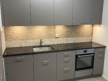 Rent a 1 ½ rooms apartment in Zürich Flatfox