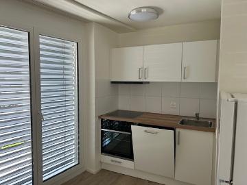 Rent a 1 ½ rooms apartment in Zurich Flatfox