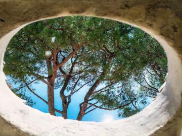 Rent a 1 ½ rooms duplex in Morcote Flatfox