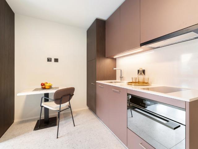 Rent a 1 ½ rooms furnished flat in Zürich Flatfox