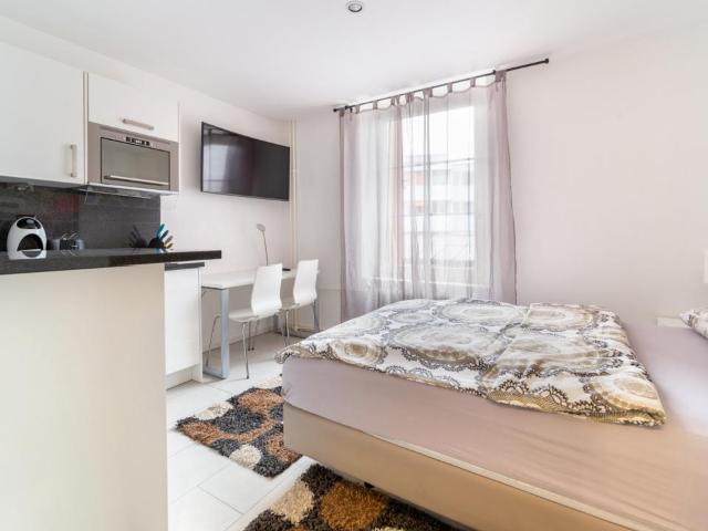 Rent a 1 ½ rooms furnished flat in Basel Flatfox