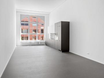 Rent a 1 ½ rooms loft in Arbon Flatfox