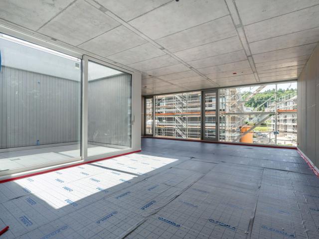 Rent a 1 ½ rooms studio in Baden Flatfox