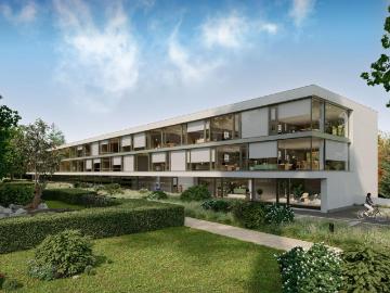Rent a 1 ½ rooms studio in Baden Flatfox