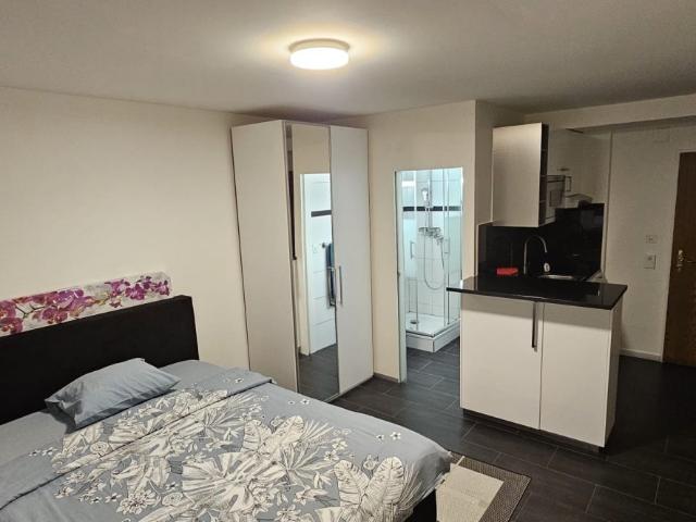 Rent a 1 ½ rooms studio in Basel Flatfox