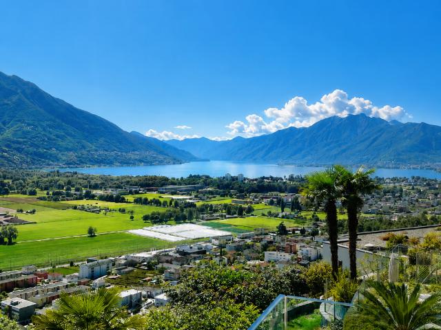 Rent a 2 ½ rooms terrace flat in Gordola Flatfox