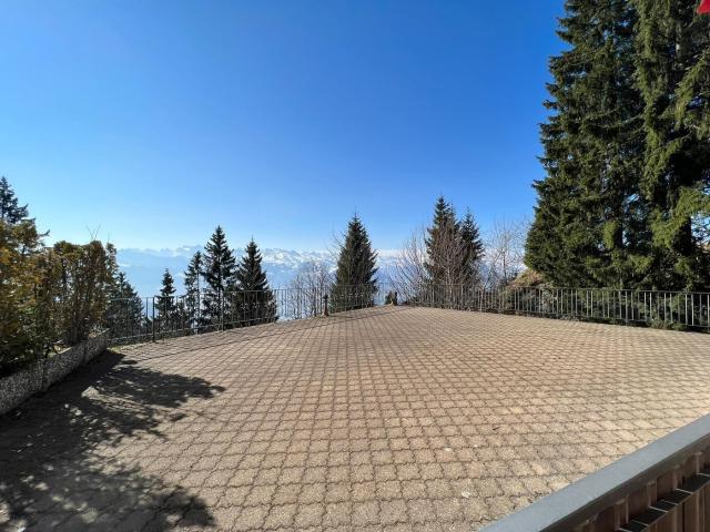 Rent a 2 rooms terrace flat in Rigi Kaltbad Flatfox