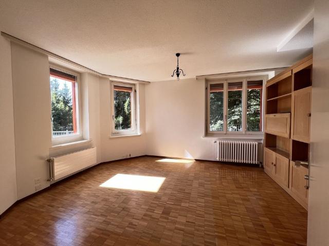 Rent a 2 rooms terrace flat in Rigi Kaltbad