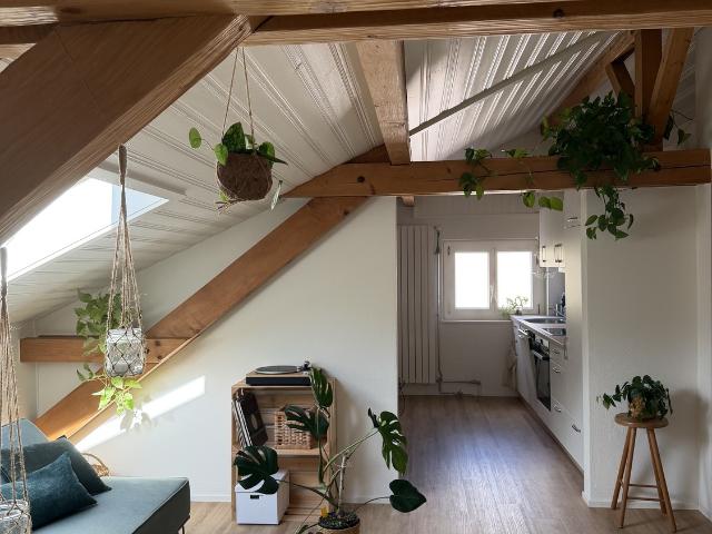 Rent a 2 ½ rooms apartment in Chur Flatfox
