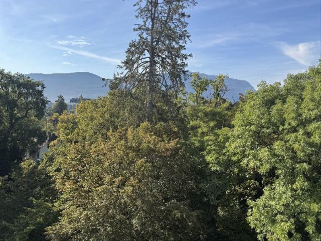 Rent a 2 rooms apartment in Chêne Bougeries Flatfox