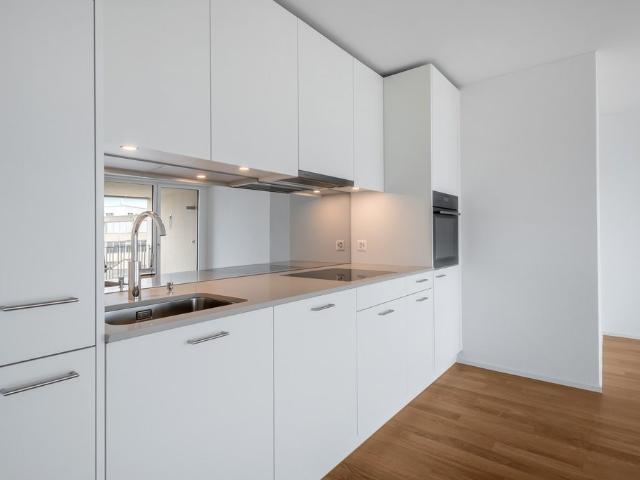 Rent a 2 ½ rooms apartment in Aarau Flatfox