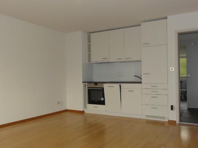 Rent a 2 ½ rooms apartment in Aarau Flatfox