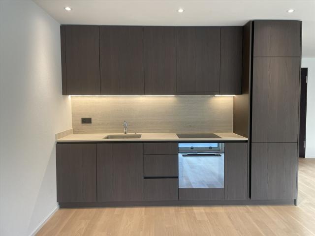Rent a 2 ½ rooms apartment in Aarburg Flatfox