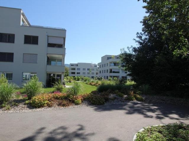 Rent a 2 ½ rooms apartment in Aarburg Flatfox