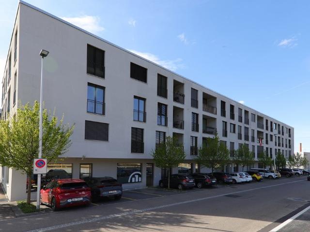 Rent a 2 ½ rooms apartment in Aesch Flatfox