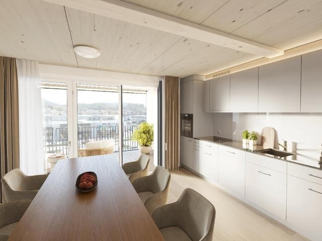 Rent a 2 ½ rooms apartment in Affoltern am Albis Flatfox