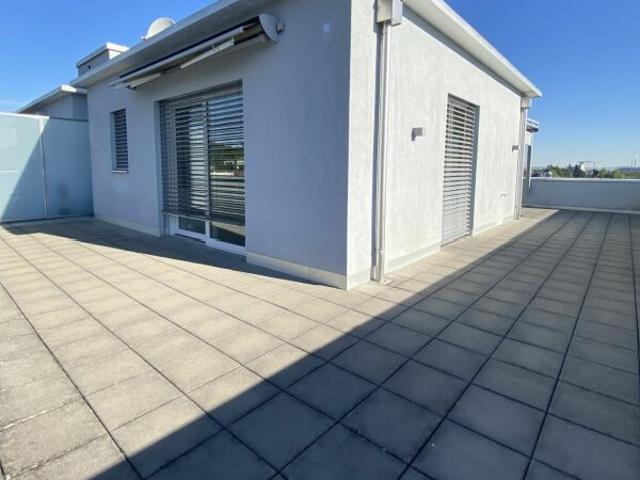 Rent a 2 ½ rooms apartment in Allschwil Flatfox