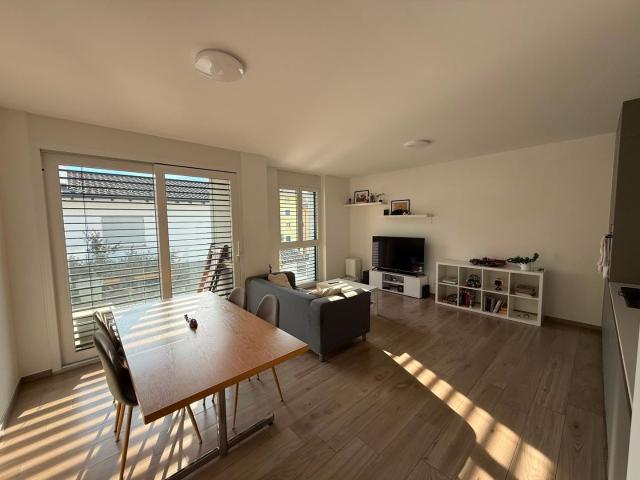 Rent a 2 ½ rooms apartment in Arbedo Flatfox