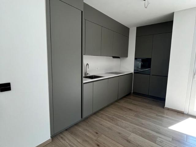 Rent a 2 ½ rooms apartment in Arbedo Flatfox