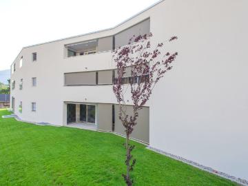 Rent a 2 ½ rooms apartment in Arbedo Flatfox