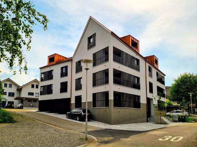 Rent a 2 ½ rooms apartment in Auw Flatfox
