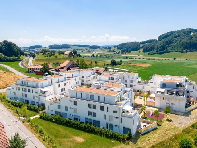 Rent a 2 ½ rooms apartment in Boll Flatfox