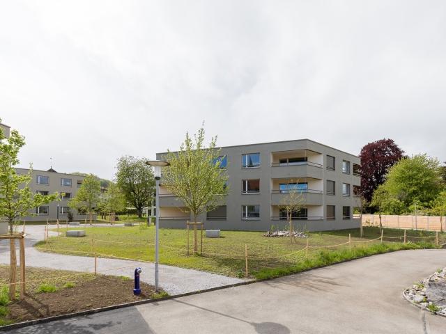 Rent a 2 ½ rooms apartment in Boniswil Flatfox