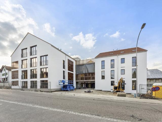Rent a 2 ½ rooms apartment in Boniswil Flatfox