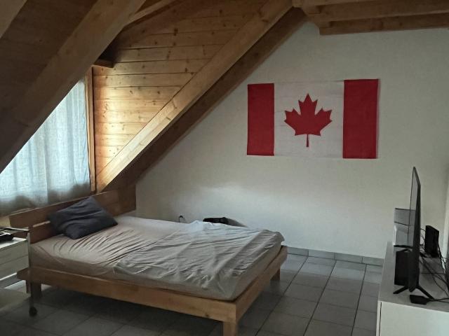 Rent a 2 rooms apartment in Bad Ragaz Flatfox