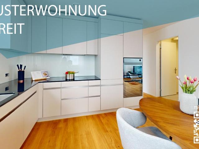 Rent a 2 ½ rooms apartment in Bad Zurzach Flatfox