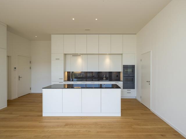 Rent a 2 ½ rooms apartment in Baden Flatfox