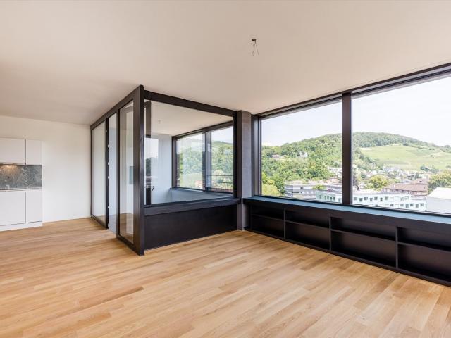 Rent a 2 ½ rooms apartment in Baden Flatfox
