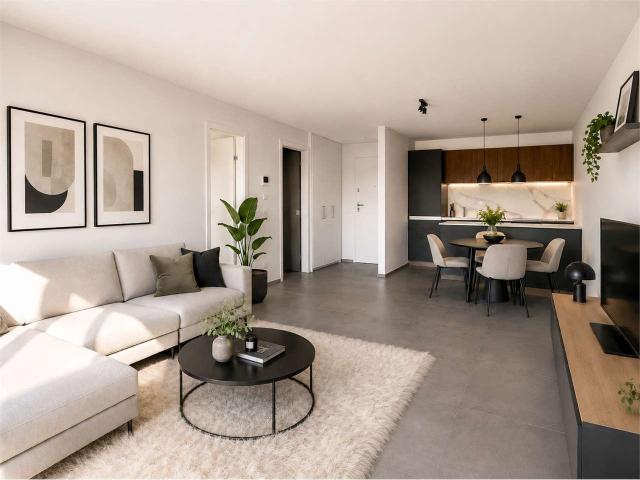Rent a 2 ½ rooms apartment in Balerna Flatfox
