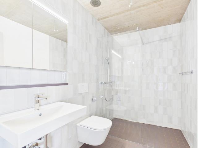 Rent a 2 rooms apartment in Basel Flatfox