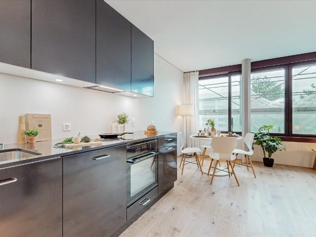 Rent a 2 ½ rooms apartment in Basel Flatfox