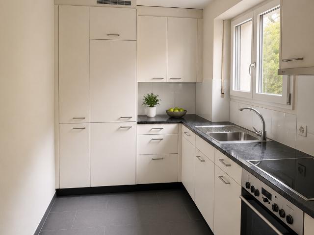 Rent a 2 rooms apartment in Basel Flatfox
