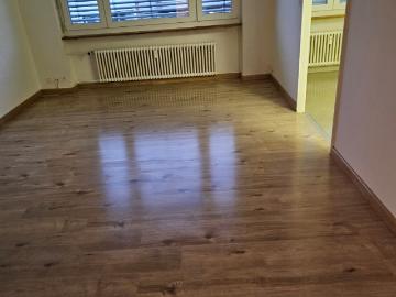 Rent a 2 rooms apartment in Basel Flatfox